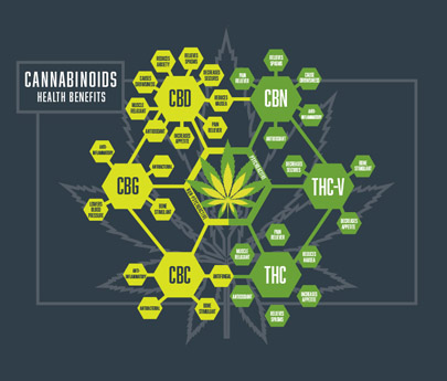 The Prospects for Private Equity Cannabinoid Investments