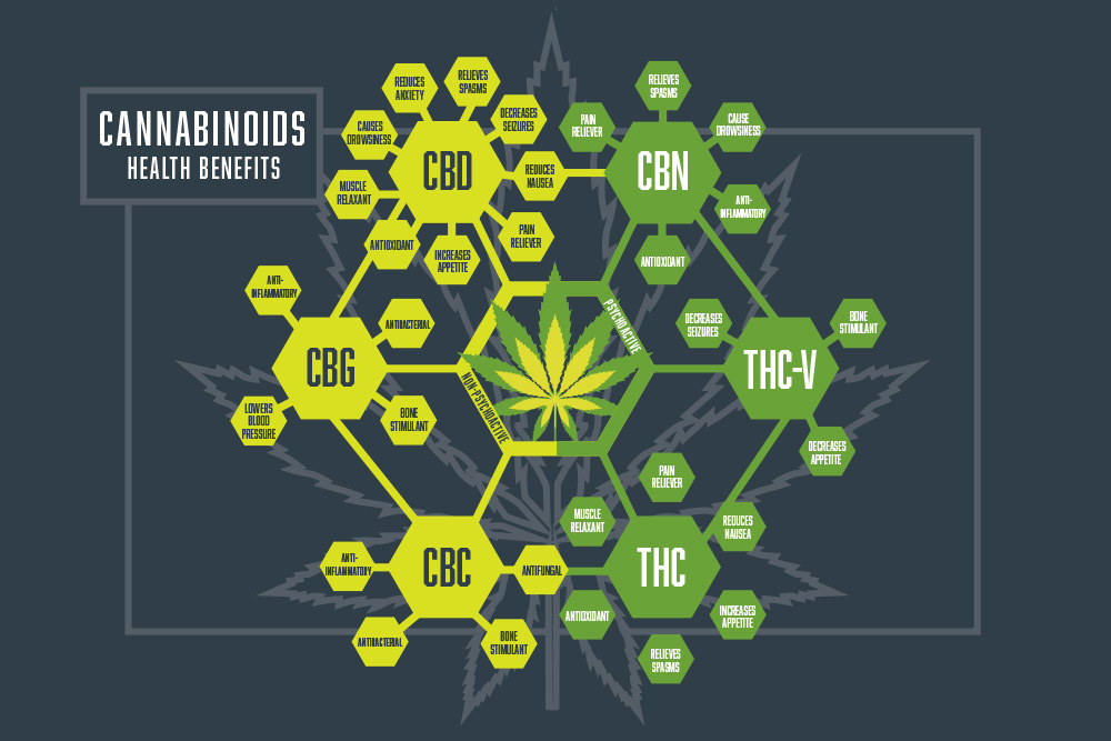 The Prospects for Private Equity Cannabinoid Investments