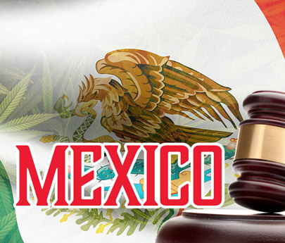 Mexico Set to Become the World’s Largest Legal Cannabis Market
