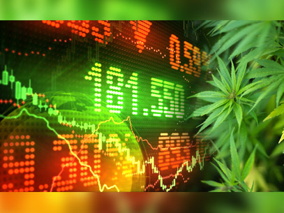 Lessons Learned from Cannabis Stock Trading
