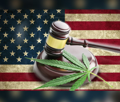 Cannabis Federal Legalization – Implications for Strategic Investors