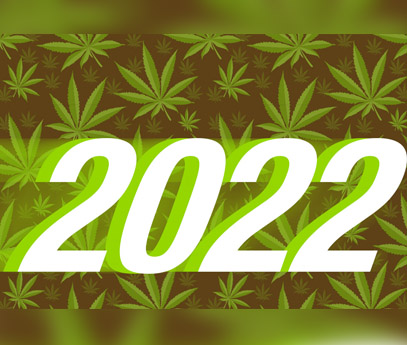 Cannabis Industry 2022 – Opportunities for Strategic Investment