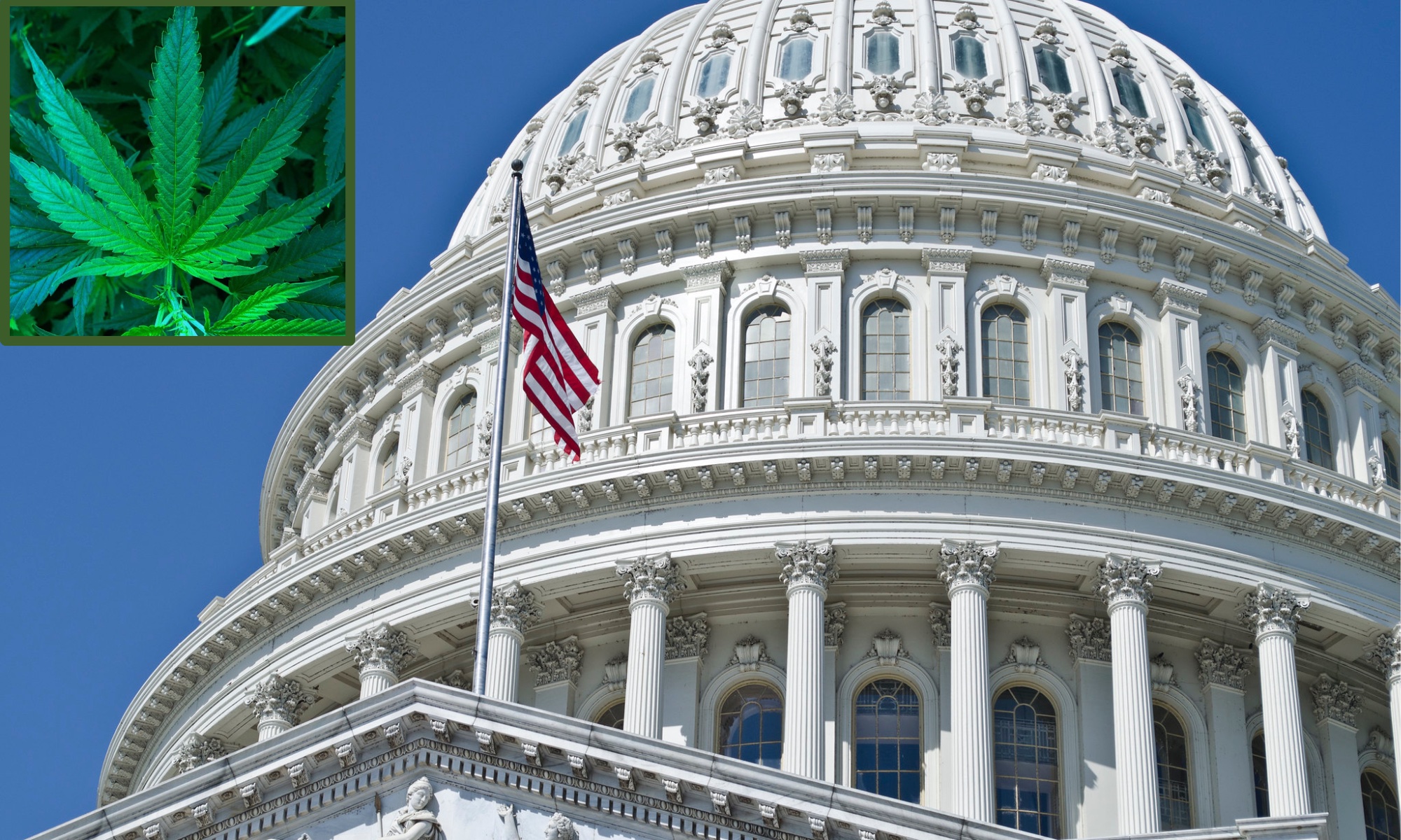 House Approves Federal Marijuana Legalization Bill In Historic Vote