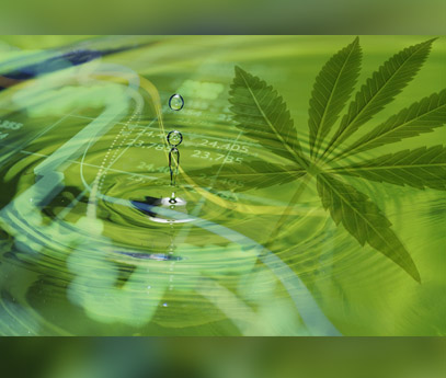 Impact of Liquidity on Cannabis Strategic Investments in 2022