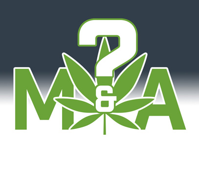 The Future of Cannabis MSOs 2022