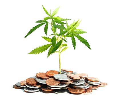 Will Cannabis Debt Financing Survive Rising Interest Rates?
