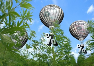 Will Cannabis Debt Financing Survive Rate Hikes by The Fed?