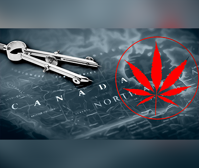 Canadian Cannabis Market – Renewed Interest Up North