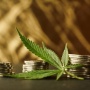 What Are the Top 5 Investment Strategies in Cannabis You Should Know?