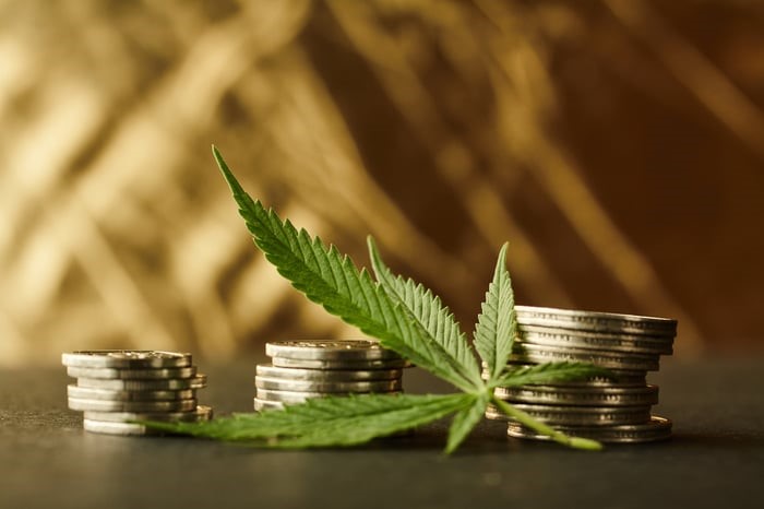 Investment strategies in cannabis