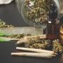 NY License Types and Market Update: How Marijuana Consulting Companies Drive Success